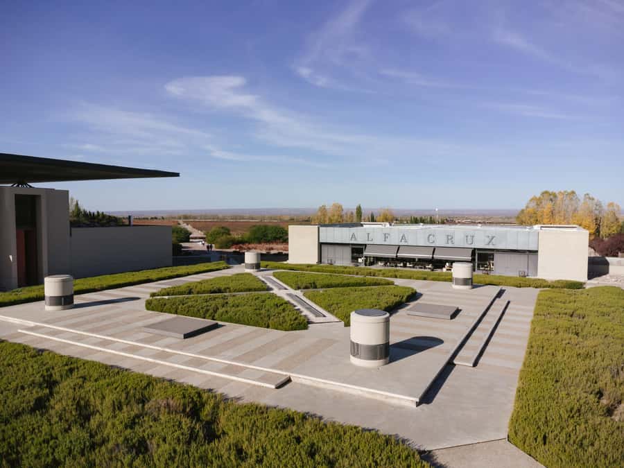 Mendoza: Tour with tasting and lunch High Altitude Wineries - Key highlights worth planning for