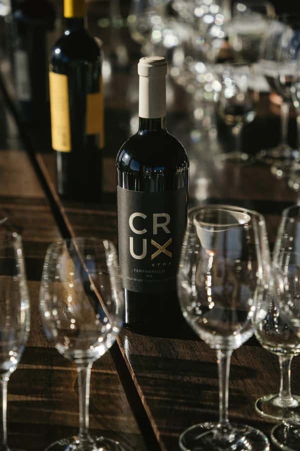 Mendoza: Tour with tasting and lunch High Altitude Wineries - Price and value: what you really get for $415
