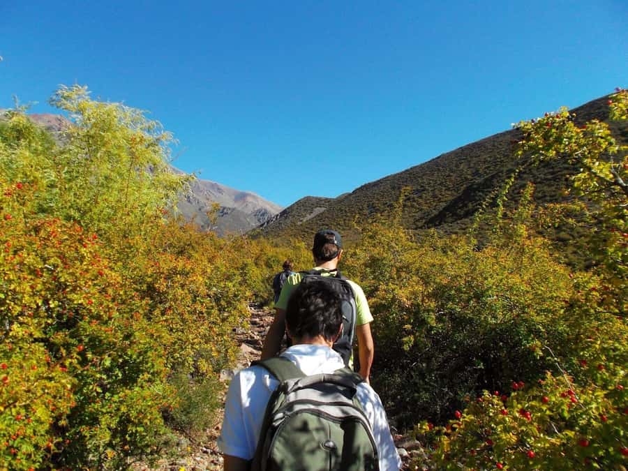 Mendoza: Trekking, Abseiling and Zipline - The viewpoint trek: 1.5 hours of walking with real context