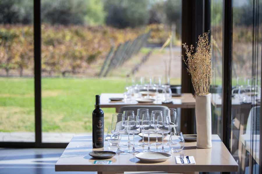 Mendoza: Wine Tasting Tour with Lunch and Private Transport - Key things that make this Mendoza wine day worth it
