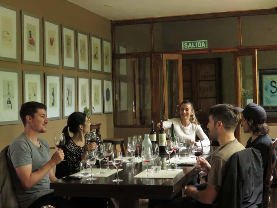 Mendoza: Wine Tasting Tour with Lunch and Private Transport - First tasting stop: guided walks and a tasting built for understanding