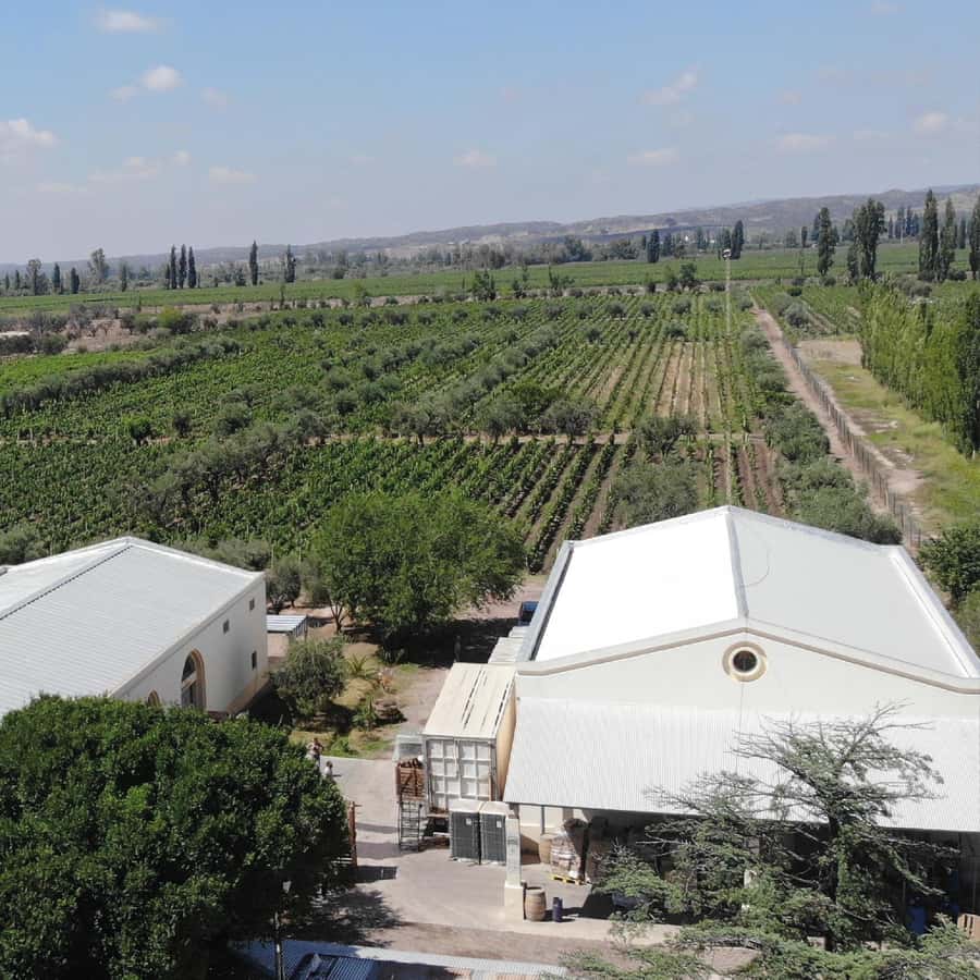 Mendoza: Wine Tasting Tour with Lunch and Private Transport - Second winery stop: another tour, another tasting, and a chance to compare