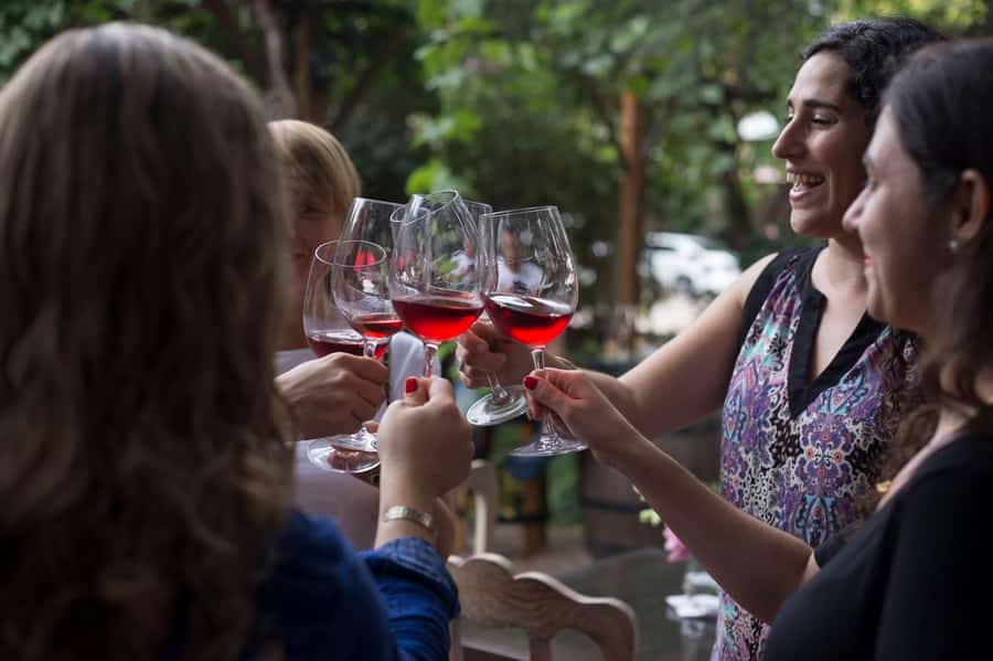 Mendoza: Wine Tasting Tour with Lunch and Private Transport - The Andes moment: why this tour feels more like Mendoza than a tasting room