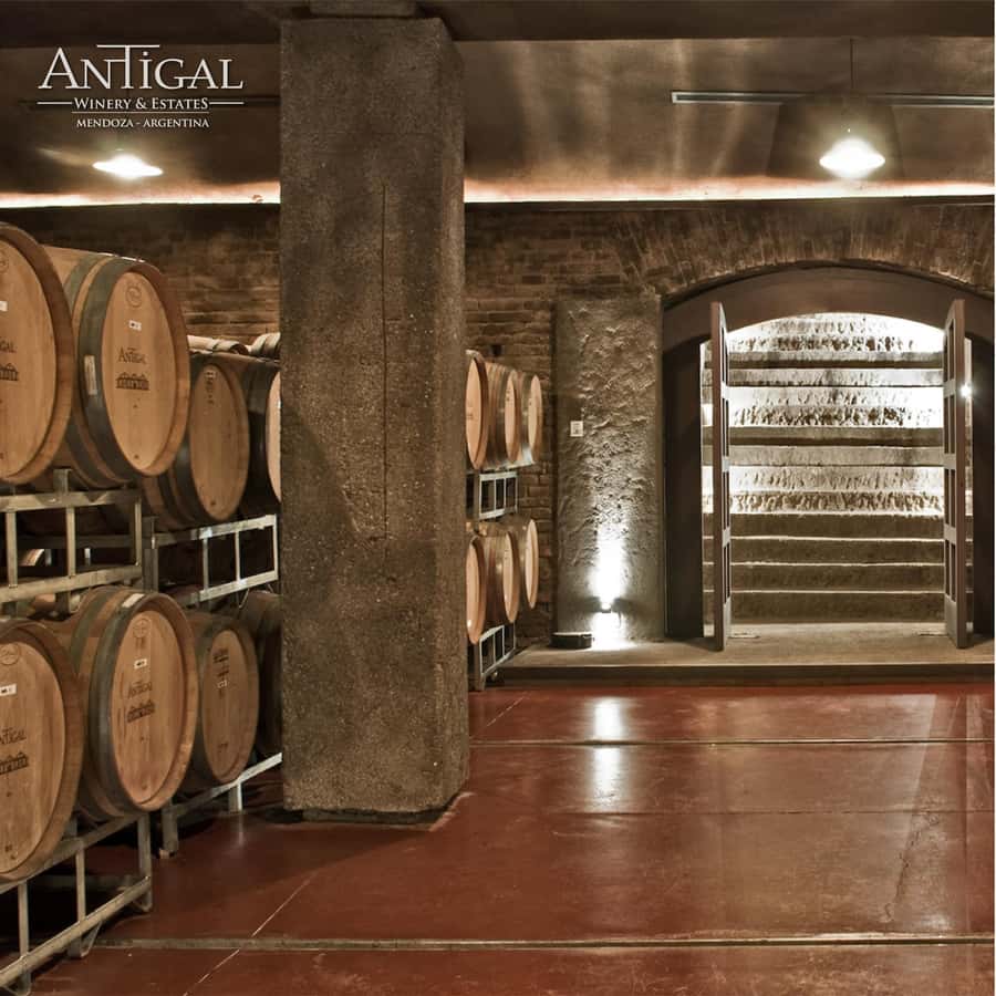Mendoza: Wine Tasting Tour with Lunch and Private Transport - Lunch at a winery: 3 courses and wine pairings that usually work