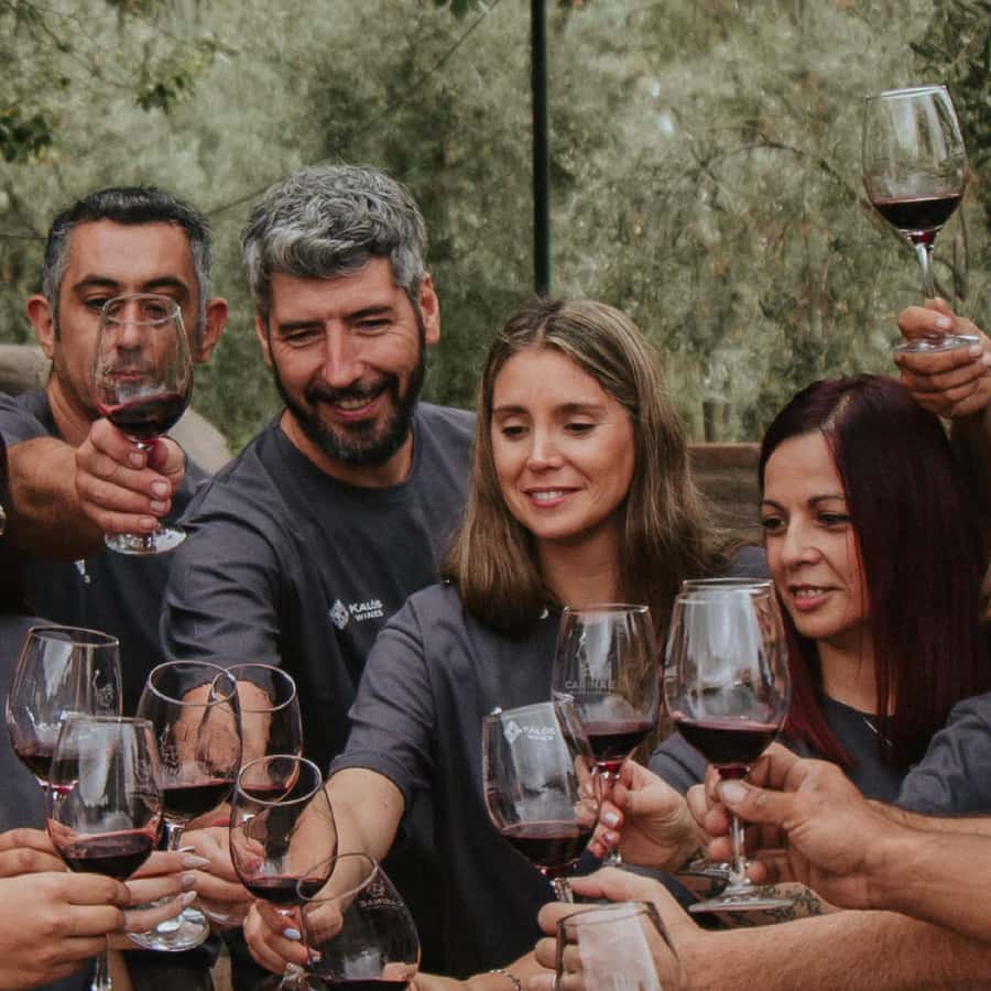 Mendoza: Wine Tasting Tour with Lunch and Private Transport - Picking your wineries: how the lineup changes (and how to benefit)
