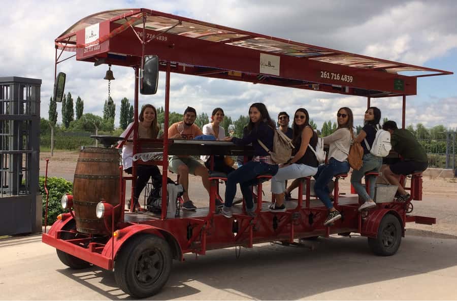 Mendoza: Winebike Tasting Tour with Optional Lunch - CarinaE Winery Tour and First Tastings: Get Oriented Fast