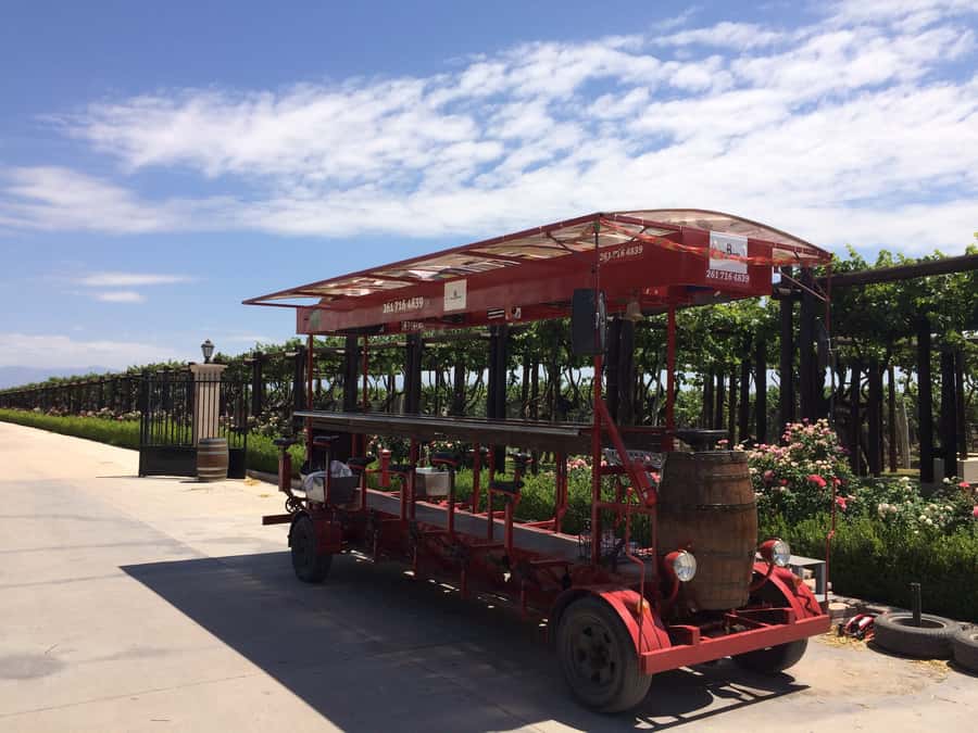 Mendoza: Winebike Tasting Tour with Optional Lunch - The Multi-Bike Ride Between Stops (And Why It Changes the Wine Tasting)