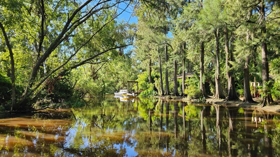 Navigation in Delta of Tigre - Exclusive semi private tour - A Semi-Private Speedboat Into Tigre’s Backchannels