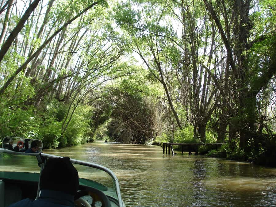 Navigation in Delta of Tigre - Exclusive semi private tour - The Scenic Drive: What You’ll See Before the Boat