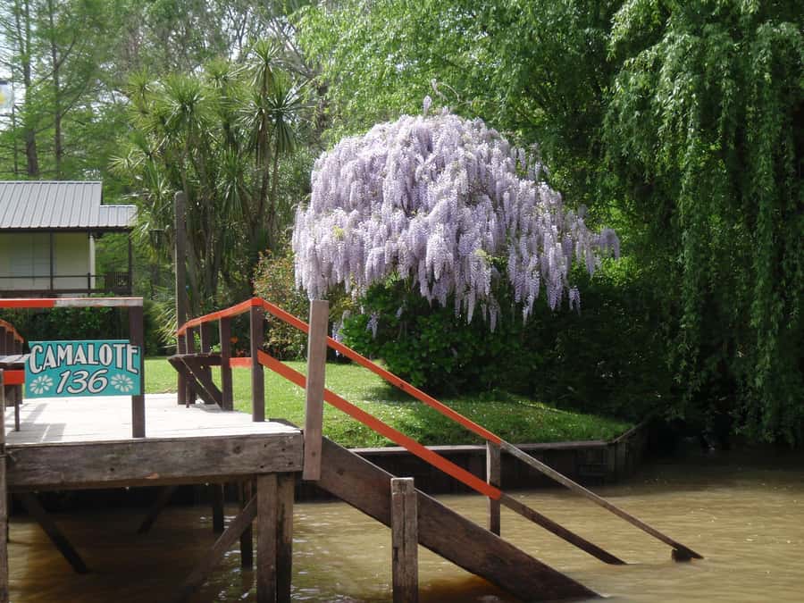 Navigation in Delta of Tigre - Exclusive semi private tour - Wildlife and Nature Spotting, With Real Explanations
