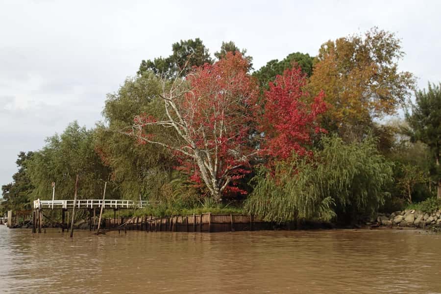 Navigation in Delta of Tigre - Exclusive semi private tour - Guide Setup: Enrique Leads, Martin Occasionally Takes Over