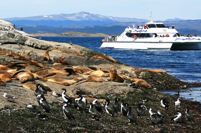 Navigation to Beagle Channel and Sea Lions Island with Transfers - Why the Beagle Channel loop feels like a greatest-hits day in Ushuaia