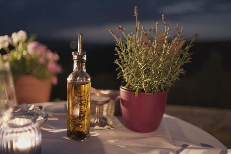 Olive Oil Factory + Wineries + Full Asado Lunch (Full Day) - Why this olive oil and winery combo is such a smart Mendoza day