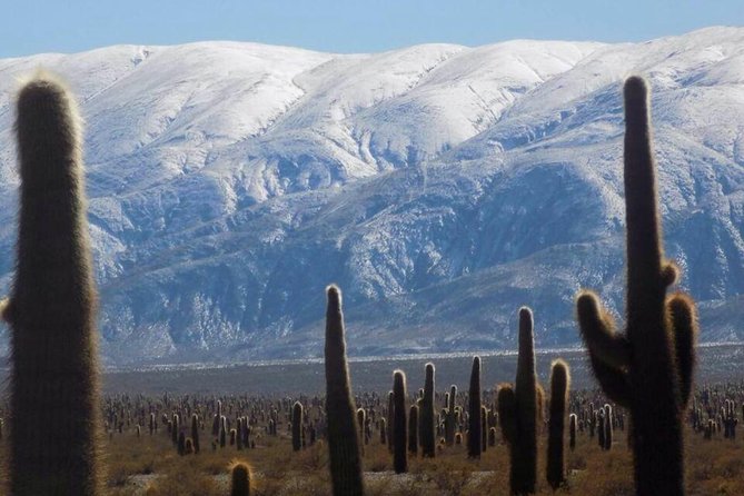 One Day Tour of Cachi and Calchaquí Valleys from Salta - How the stops work, Iglesias de San José to quick attraction time