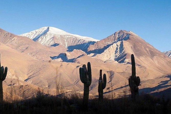 One Day Tour of Cachi and Calchaquí Valleys from Salta - Los Cardones National Park and the Enchanted Valley viewpoint