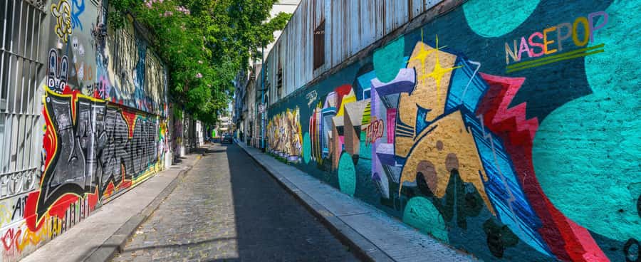 Palermo: Graffiti and Street Art Guided Tour in English - Julio Cortazar area: your starting lens for the rest of the walk