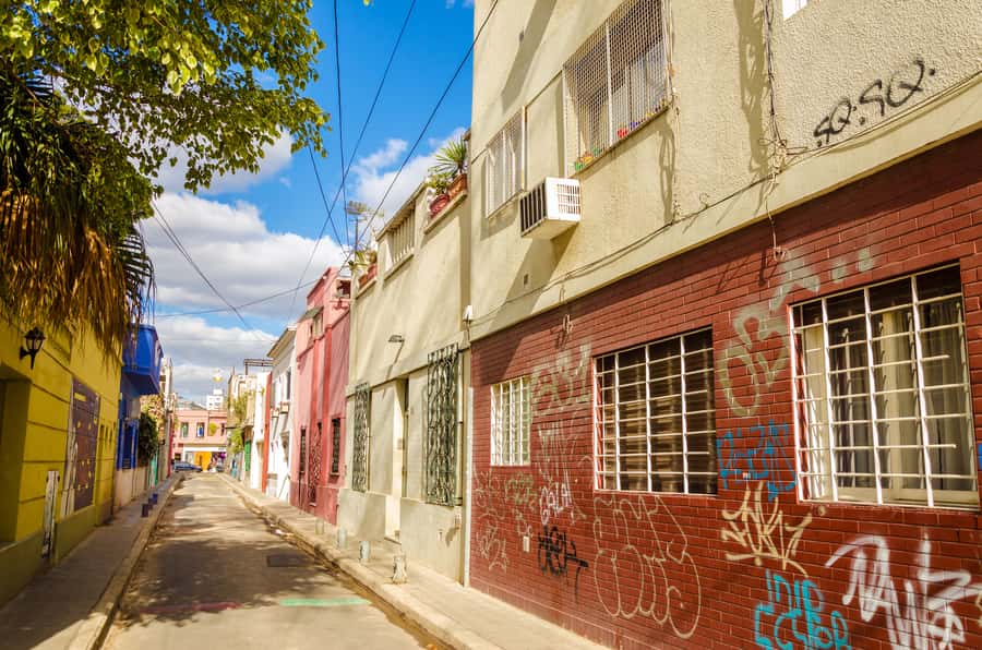 Palermo: Graffiti and Street Art Guided Tour in English - The Trump Wall photo stop at Madison Avenue Bar