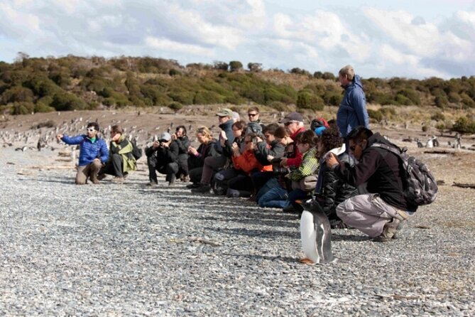 Penguin walk in Ushuaia + navigation option - From the Ushuaia tourist pier: timing, check-in, and the 30-minute rule