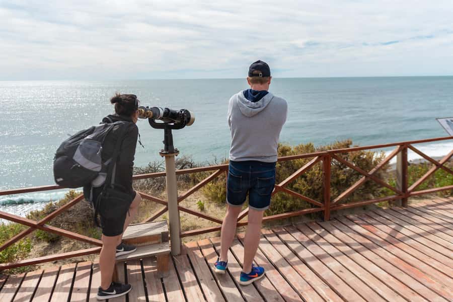 Peninsula Valdes Full Day Tour - Peninsula Valdés full day from Puerto Madryn, what you are really booking