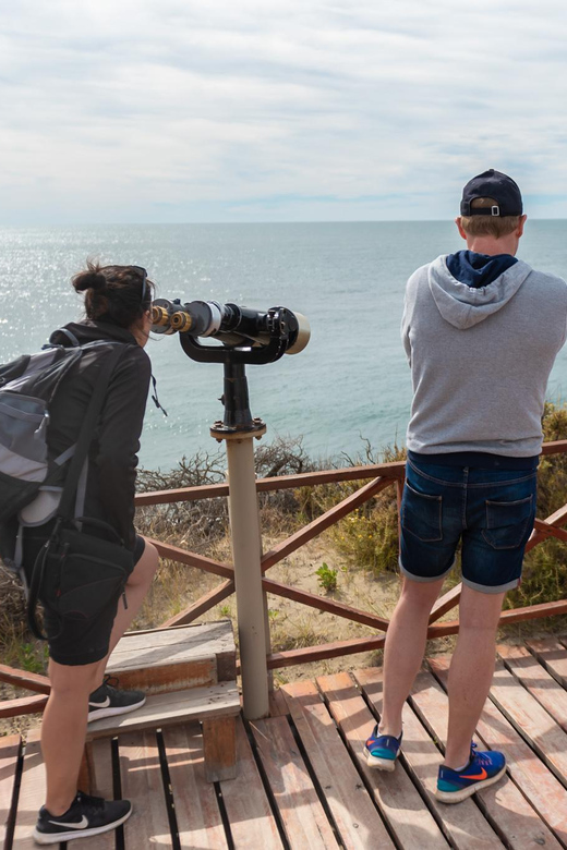 Peninsula Valdes Full Day Tour - The guide factor: English instruction that makes sightings click