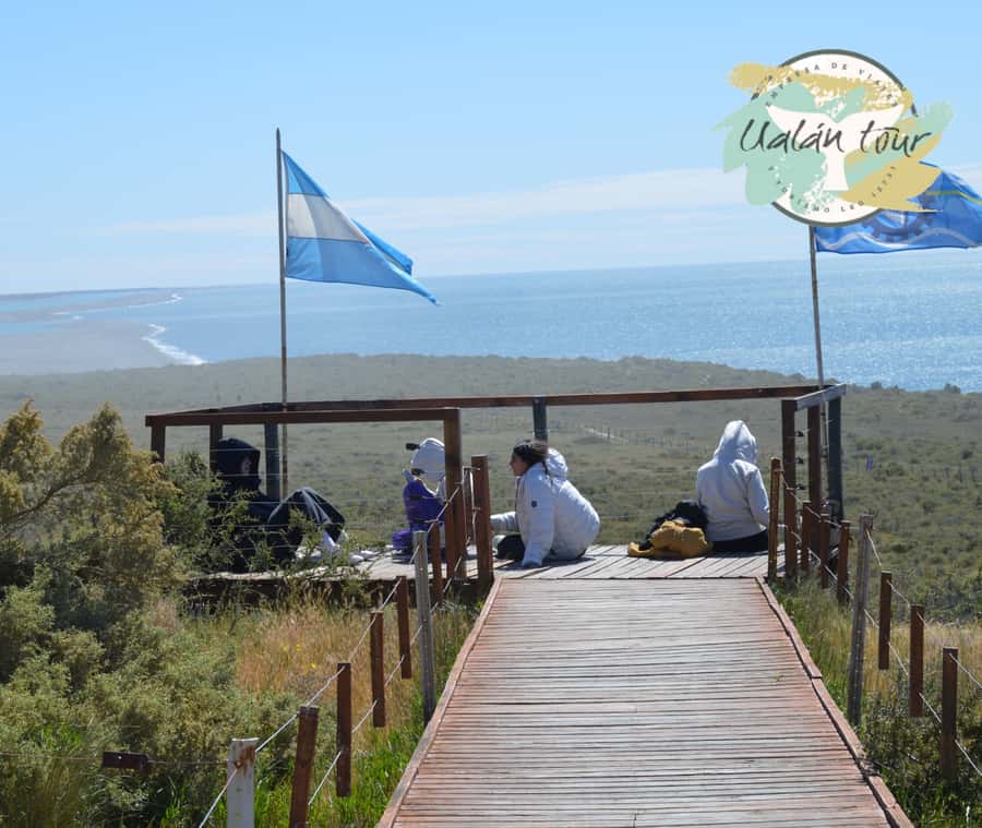 Peninsula Valdes: Shore excursion for cruise passengers - Key Peninsula Valdes Shore Trip Takeaways