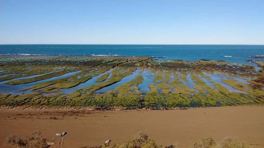 Peninsula Valdes: Shore excursion for cruise passengers - Istmo Carlos Ameghino: The Visitor Centre Stop That Sets the Tone