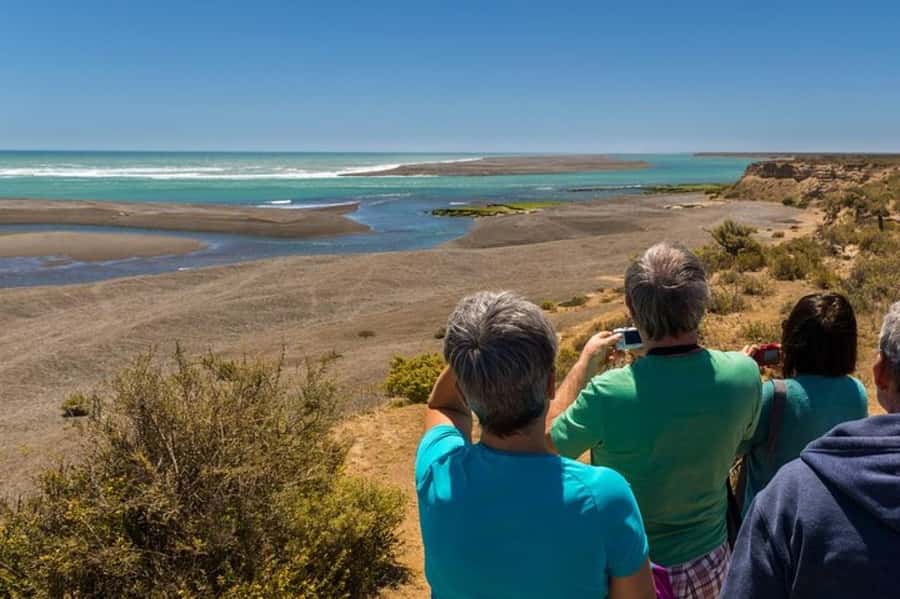 Peninsula Valdes Shore Tour for Cruise Passengers + City - Visitor Center Stop: A Faster Way to Understand What You See