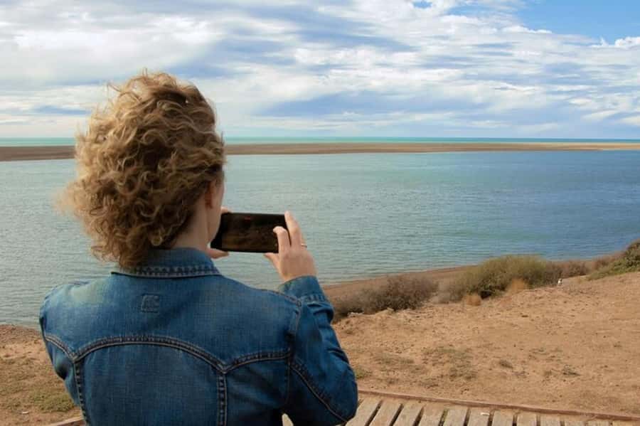 Peninsula Valdes Shore Tour for Cruise Passengers + City - Price and Logistics: Is It Worth the $105?