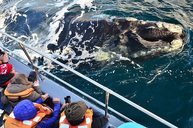 Peninsula Valdes Tour with Optional Whale Watching - Puerto Madryn departure: a wildlife-heavy day from 7:15 am