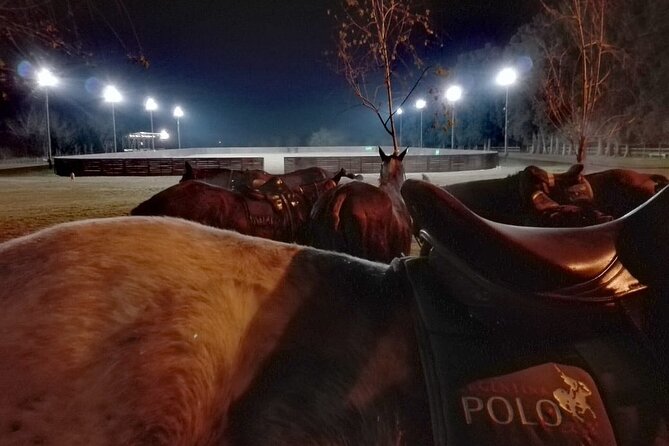 Polo Under the Stars and Argentine BBQ Evening Venue from Buenos Aires - Key things to know before you go