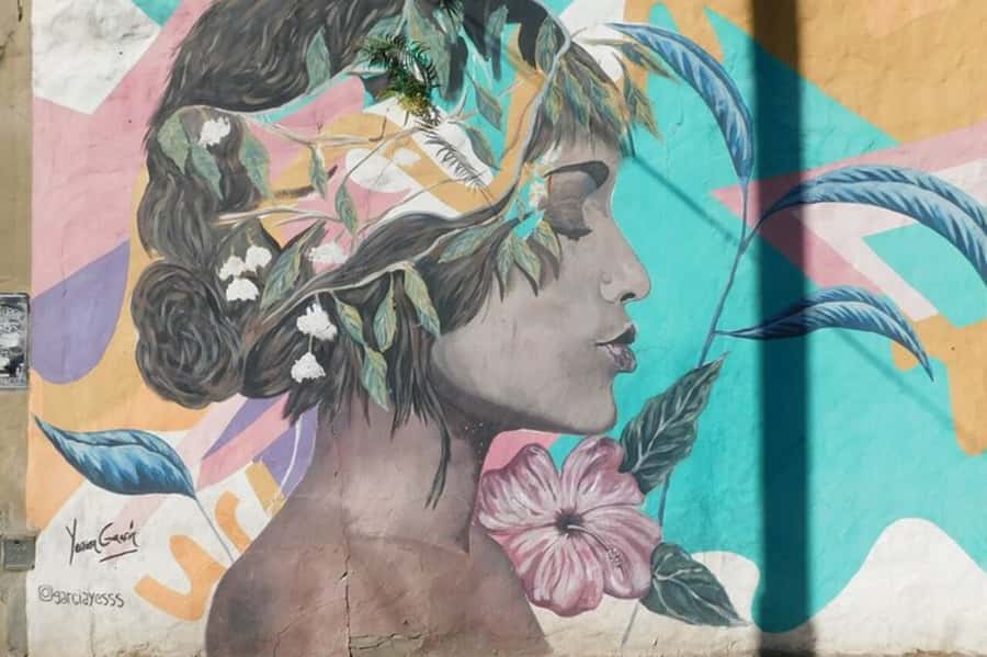 Premium Argentinian Wine and Malbec Tasting & Urban Art Tour - Key Points I’d Put at the Top