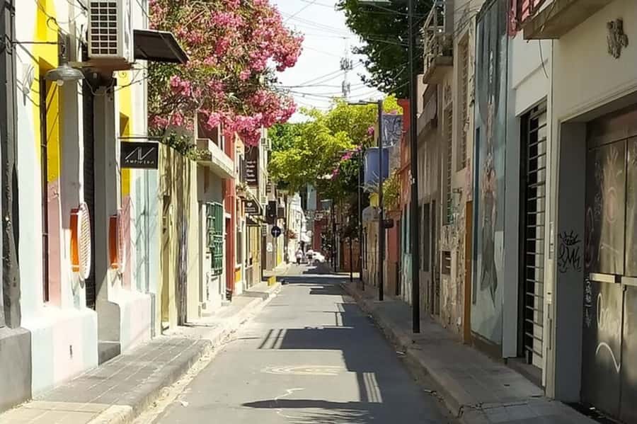 Premium Argentinian Wine and Malbec Tasting & Urban Art Tour - Palermo Soho Street Walk: Urban Art With a Sense of Place