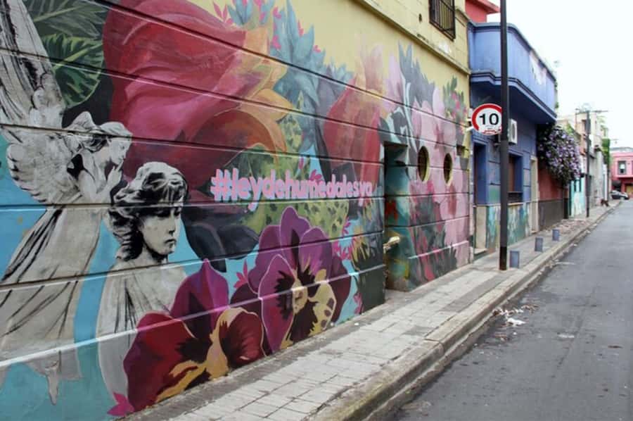 Premium Argentinian Wine and Malbec Tasting & Urban Art Tour - What You Get for $65: Value Depends on Your Priorities