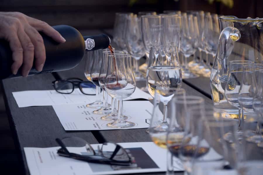 Premium Argentinian Wines and Malbec Tasting Experience - How Mendoza, Salta, and Patagonia show up in the glass