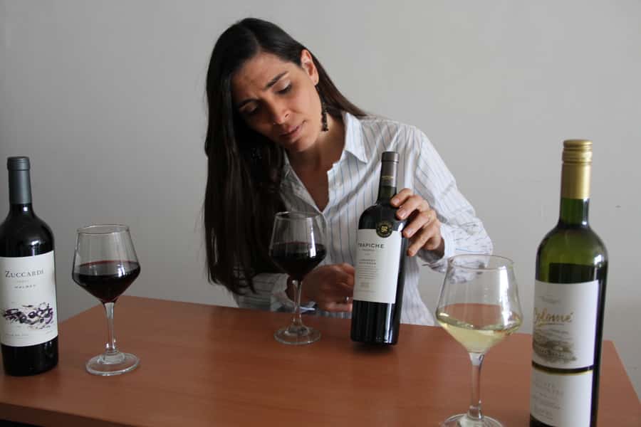 Premium Argentinian Wines and Malbec Tasting Experience - Price and logistics: where $50 actually goes