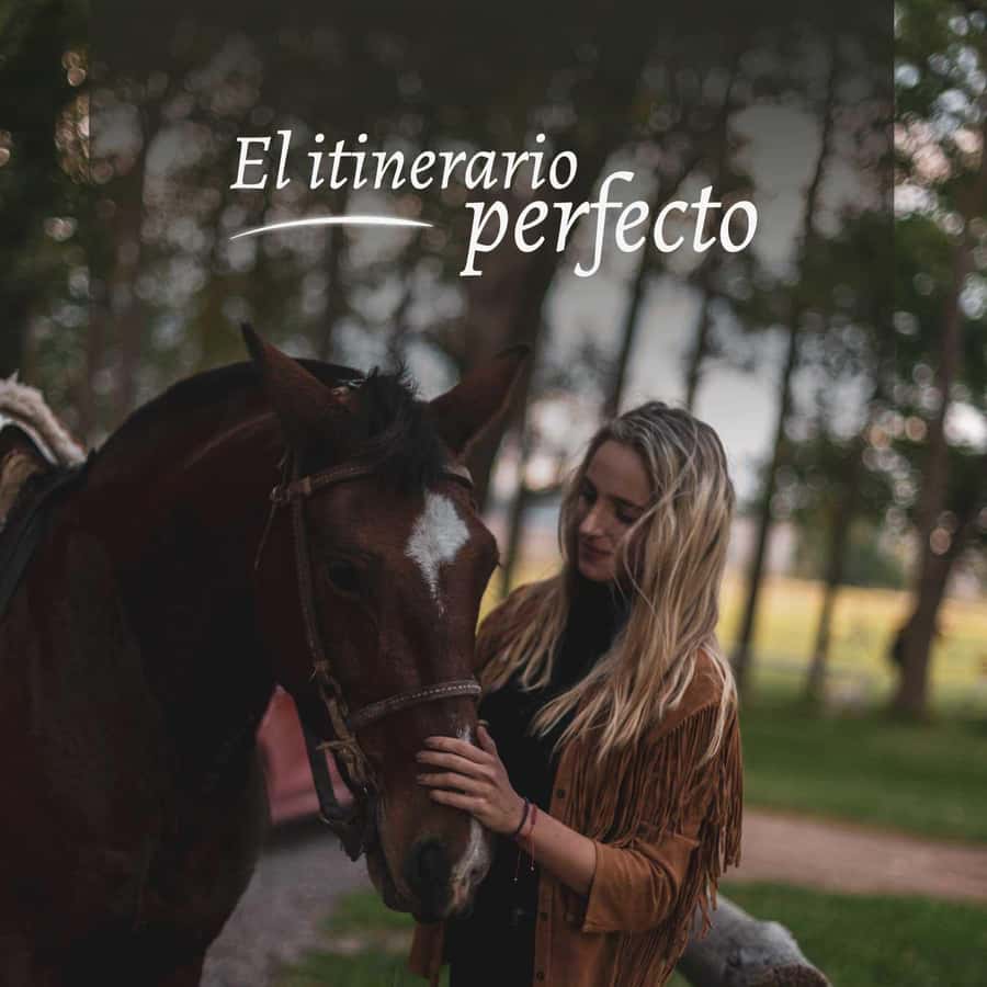 Private Experience: Horseback Riding and BBQ in the Mountain - Estancia La Carrera - The 1.5-hour horseback ride: tame horses, real trails, big views