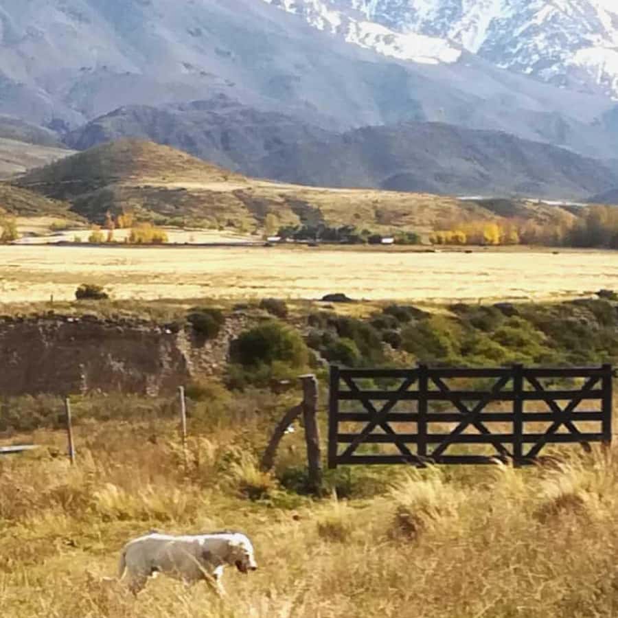 Private Experience: Horseback Riding and BBQ in the Mountain - Estancia La Carrera - What to pack for Mendoza mountain weather