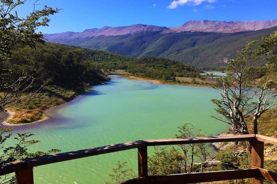 Private Experience "Tierra del Fuego" National Park - Ensenada Zaratiegui: the subantarctic forest stop that does the most teaching