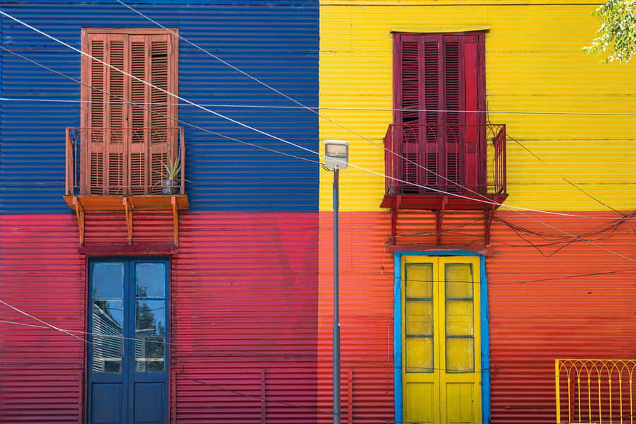 Private Street Art Tour in Buenos Aires - What You Will See: Murals, Graffiti, and Street Installations in Real Urban Spaces