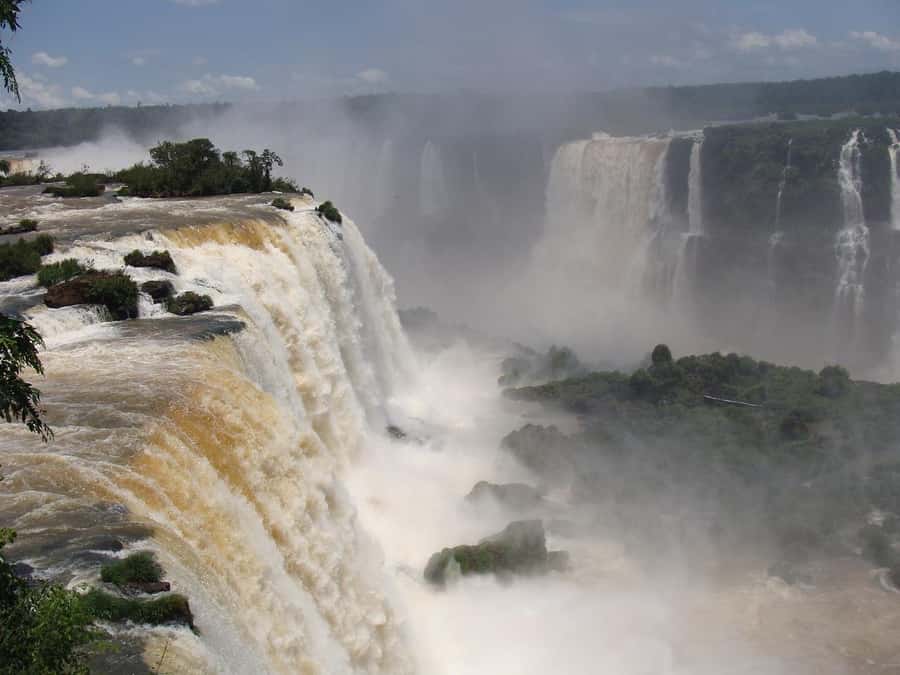 Private Tour "Dawn at the Iguassu Falls". - Entering Iguaçu National Park Around 06:00