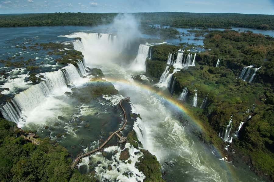 Puerto Iguazú: Brazilian Falls Half-Day Panoramic Tour - The rainforest bus ride that sets the scene