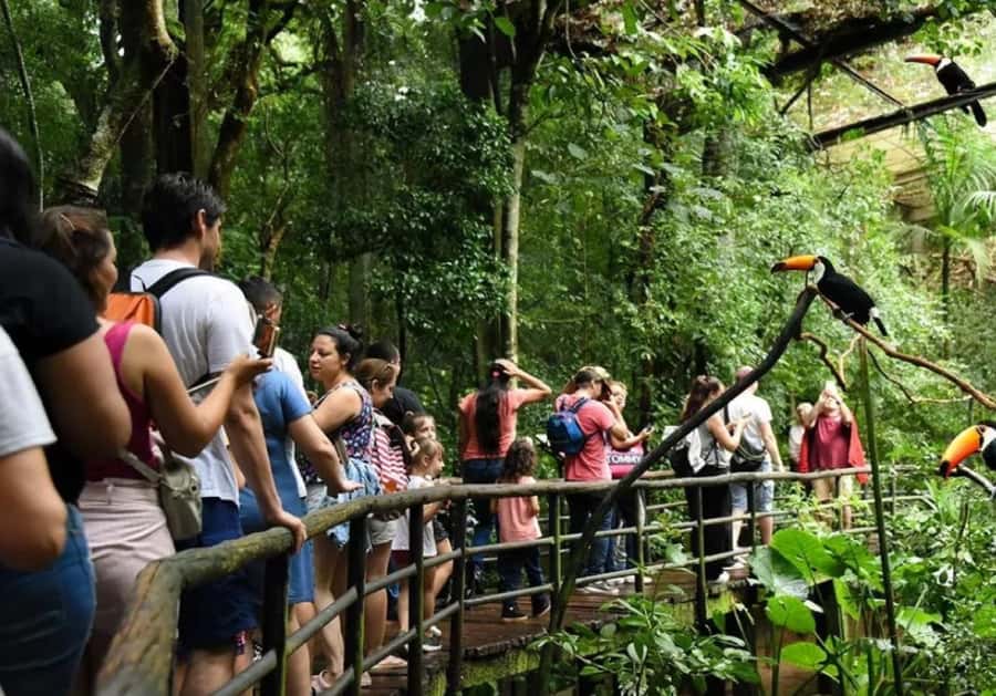 Puerto Iguazu: Iguaza Falls Brazilian Side & Bird Park Tour - Brazil Side Overlook: What This Day Trip Really Delivers