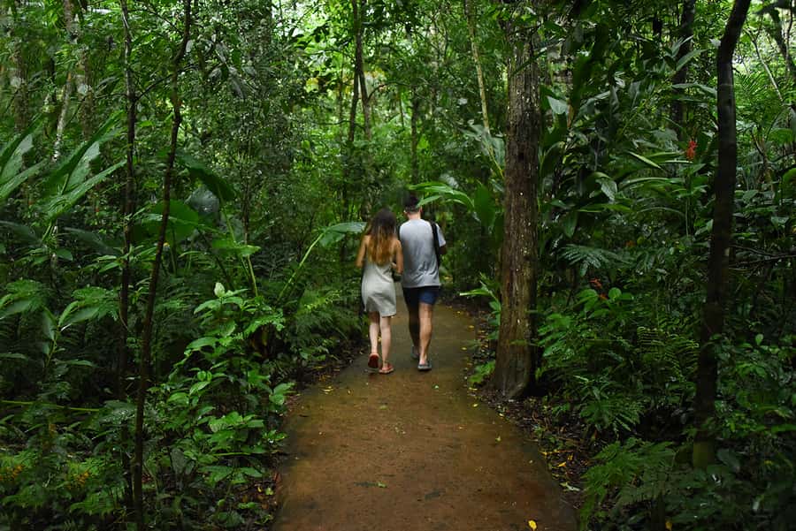 Puerto Iguazu: Iguaza Falls Brazilian Side & Bird Park Tour - What to Bring, What to Wear, and How to Avoid a Painful Day
