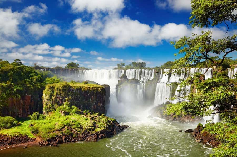 Puerto Iguazu: Iguazu Falls Argentinian Side Full-Day Tour - The three circuits and the ecological train, what you actually get