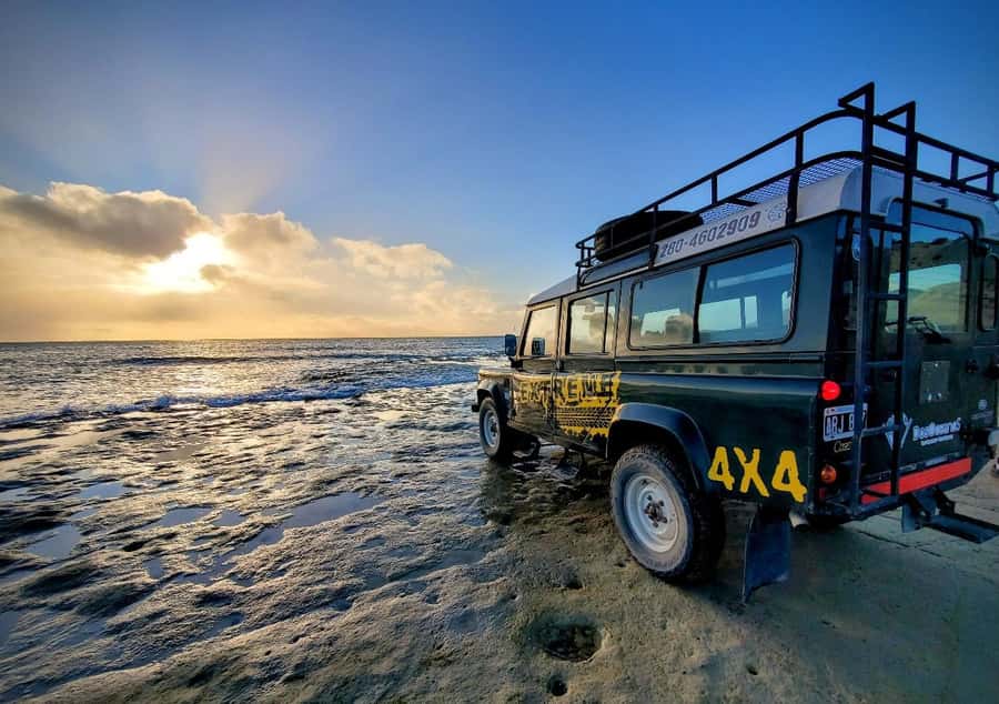 PUERTO MADRYN: 4 X 4 ADVENTURE EXPERIENCE ON THE MOST BEAUTIFUL BEACHES! - Punta Loma Reserve: dunes, viewpoints, and photo stops that actually pay off