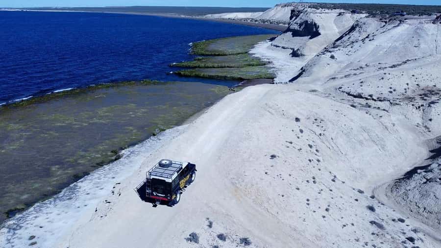 PUERTO MADRYN: 4 X 4 ADVENTURE EXPERIENCE ON THE MOST BEAUTIFUL BEACHES! - Flora Trail in Punta Loma Reserve, plus sea lions