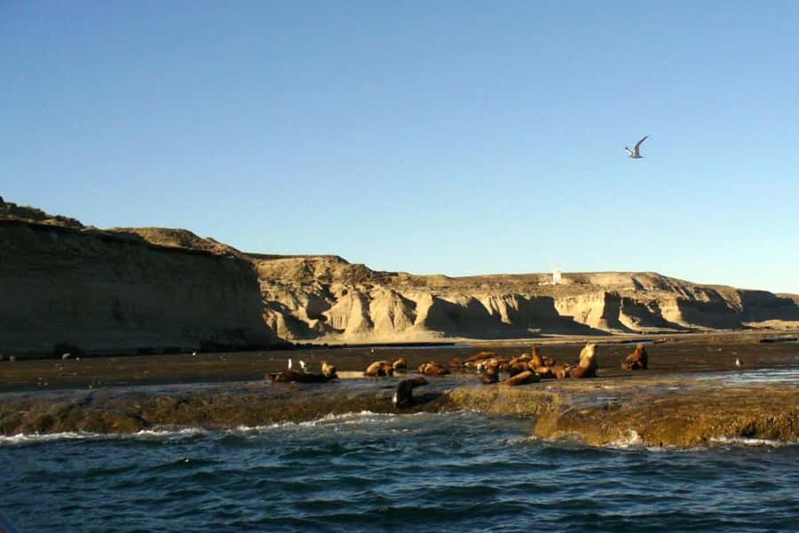 Puerto Madryn: Excursion to Peninsula Valdes Classic - Ameghino Isthmus: the quiet stop that connects the dots