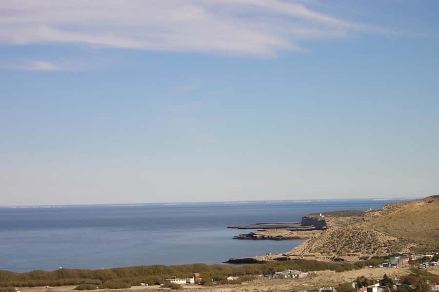 Puerto Madryn: Excursion to Peninsula Valdes Classic - Punta Norte detours: route changes for better wildlife odds