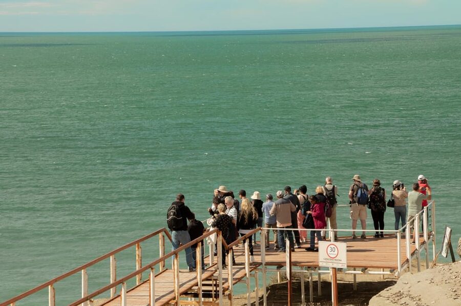 Puerto Madryn: Full Day Peninsula Valdes Experience Tour - Caleta Valdés reserve: elephant seal country