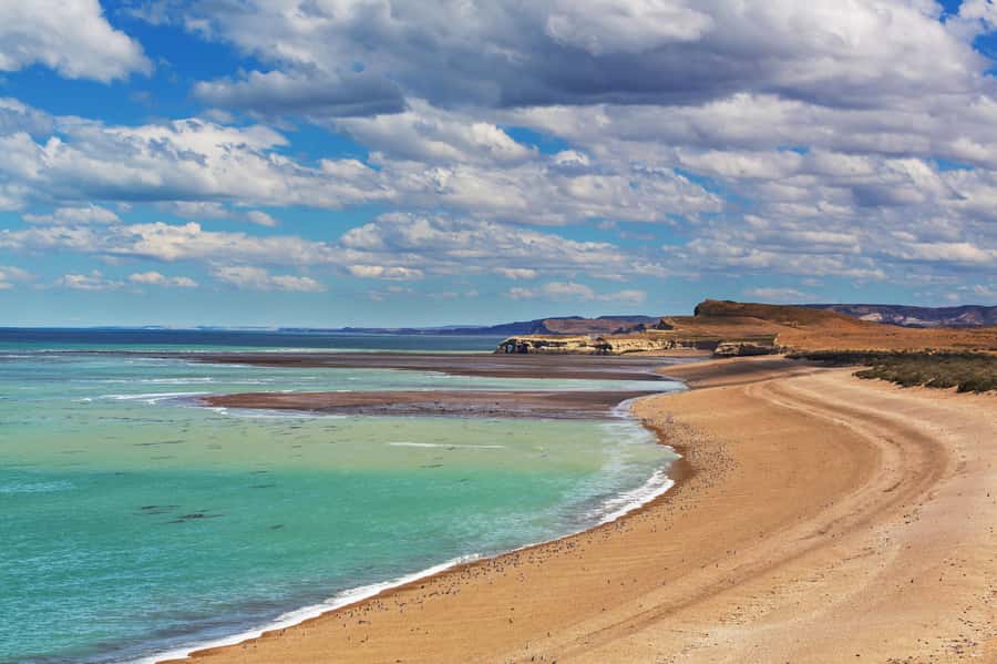 Puerto Madryn: Península Valdes with optional Whale Watching - Península Valdés World Heritage: your first guided wildlife pass